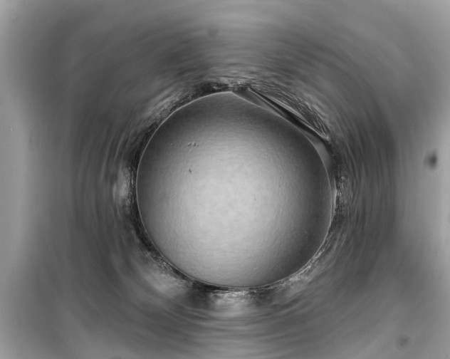 X0000099420132200805161055