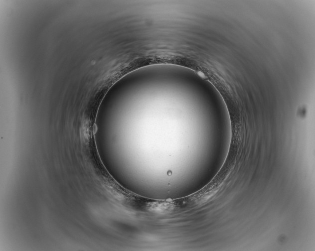 X0000099420135200805161055