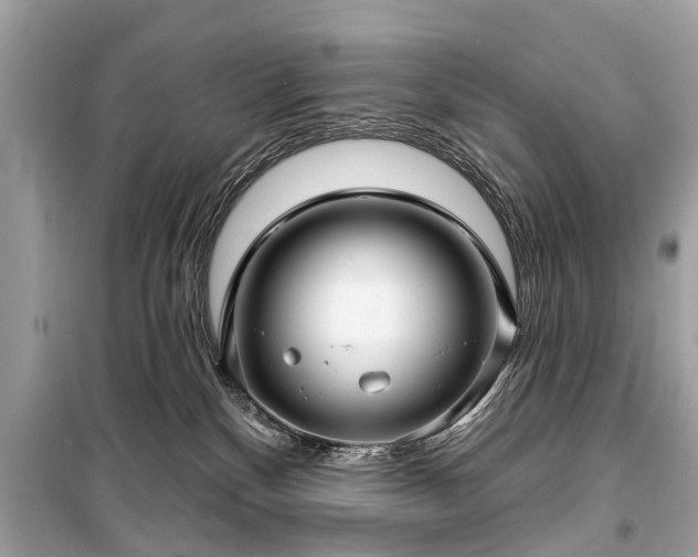 X0000099420136200805161055