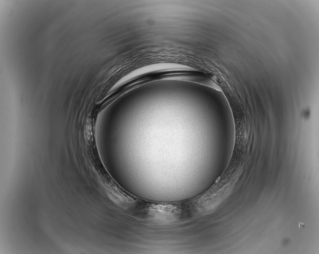 X0000099420137200805161055