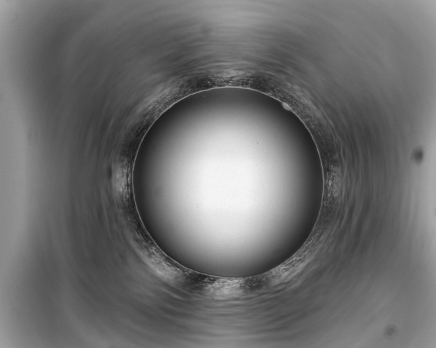 X0000099420138200805161055