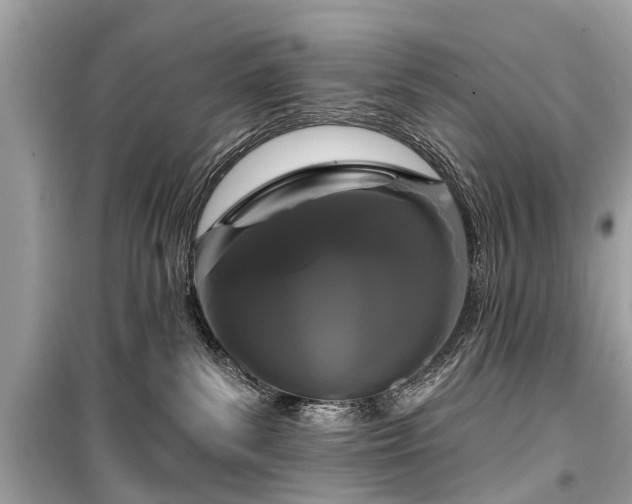 X0000099420139200805161055