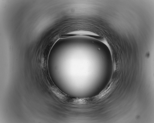 X0000099420140200805161055
