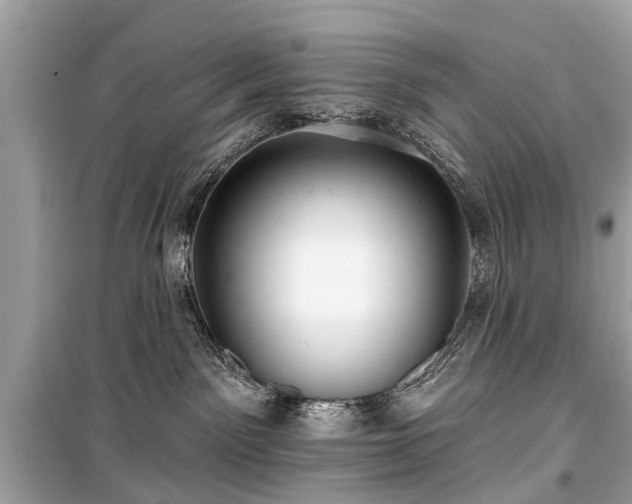 X0000099420141200805161054