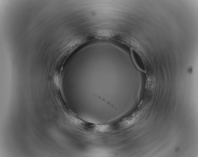 X0000099420143200805161054