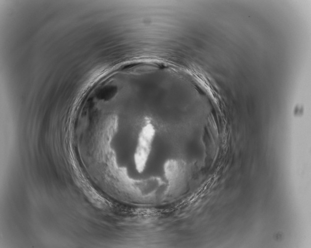 X0000099420145200805161053