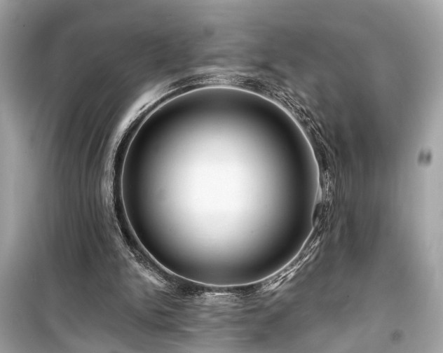 X0000099420150200805161054