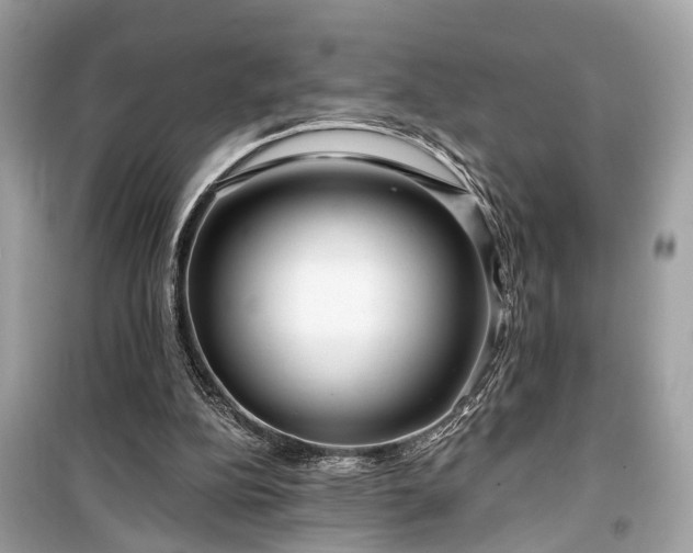 X0000099420152200805161054