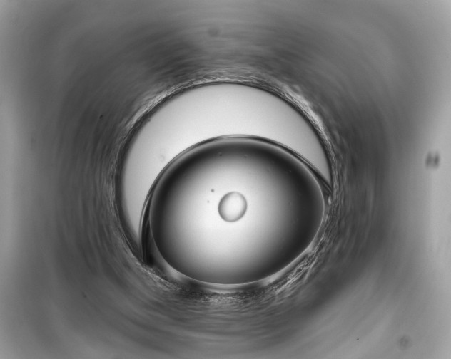 X0000099420154200805161054