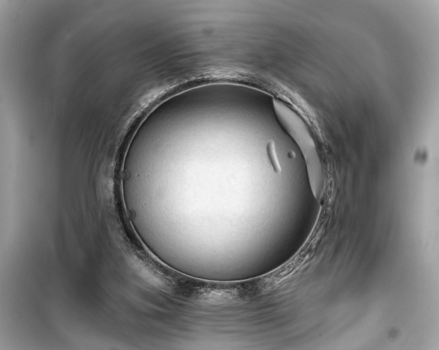 X0000099420155200805161054