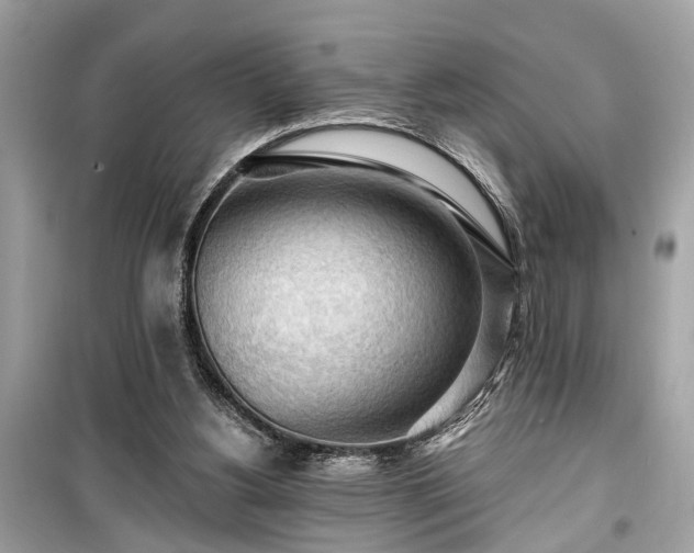 X0000099420156200805161054