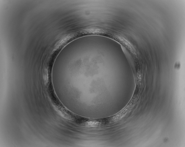 X0000099420158200805161054
