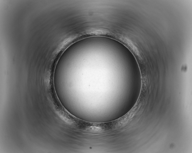 X0000099420159200805161054