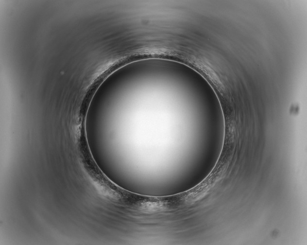 X0000099420160200805161054