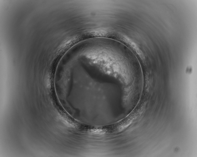 X0000099420161200805161054