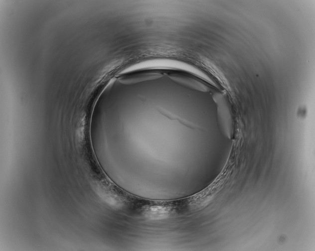 X0000099420163200805161054