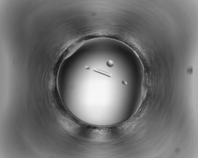 X0000099420164200805161054