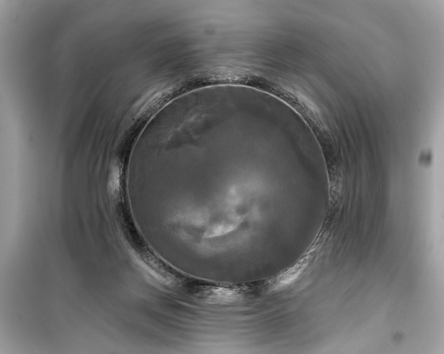 X0000099420166200805161054