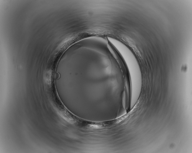X0000099420167200805161054