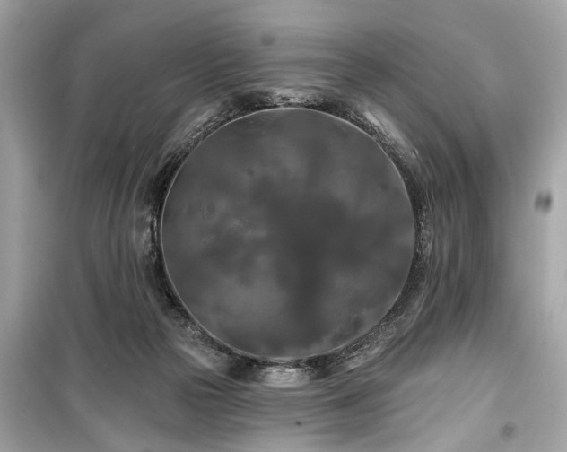 X0000099420169200805161054