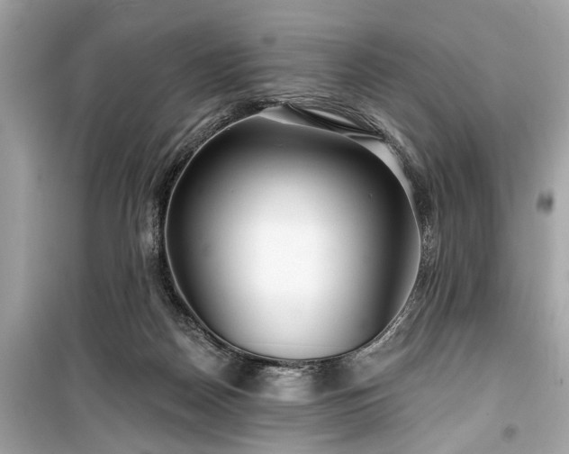 X0000099420170200805161054