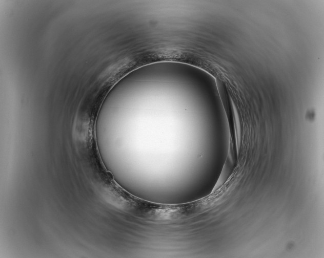 X0000099420172200805161054