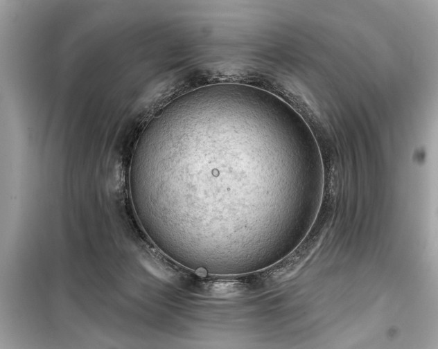 X0000099420173200805161054