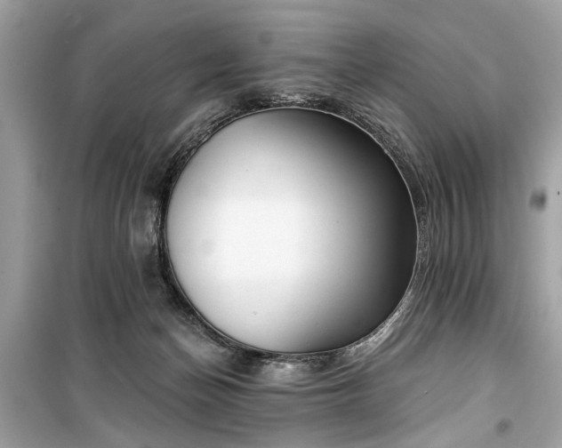 X0000099420174200805161054