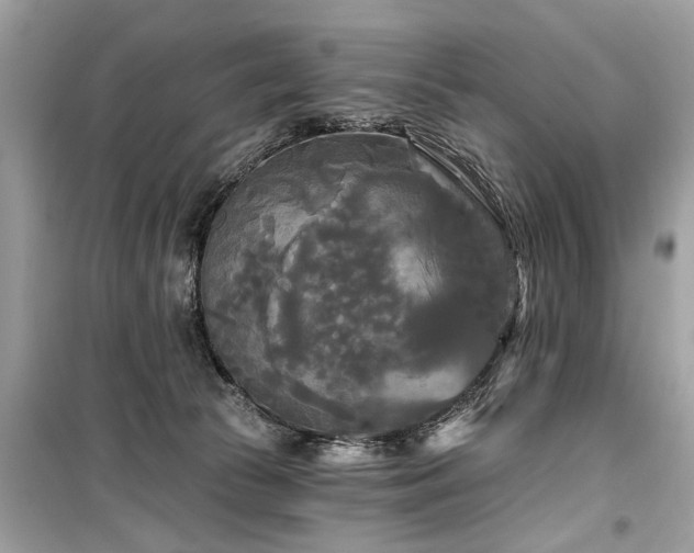 X0000099420177200805161054
