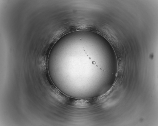 X0000099420179200805161054