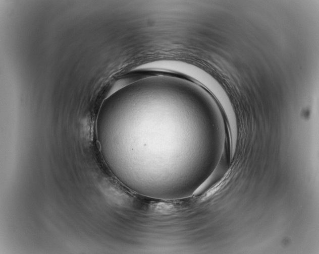 X0000099420180200805161054