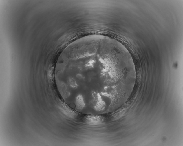 X0000099420181200805161054