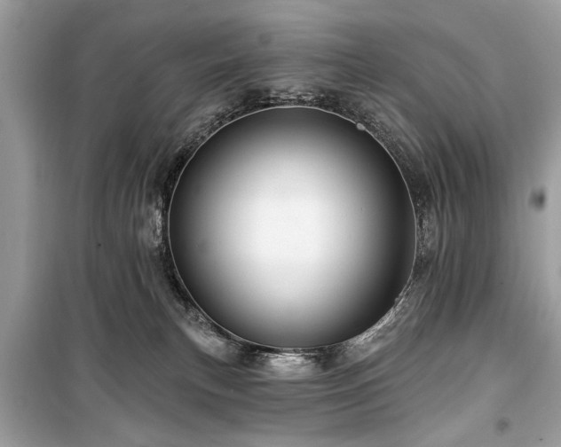 X0000099420183200805161054