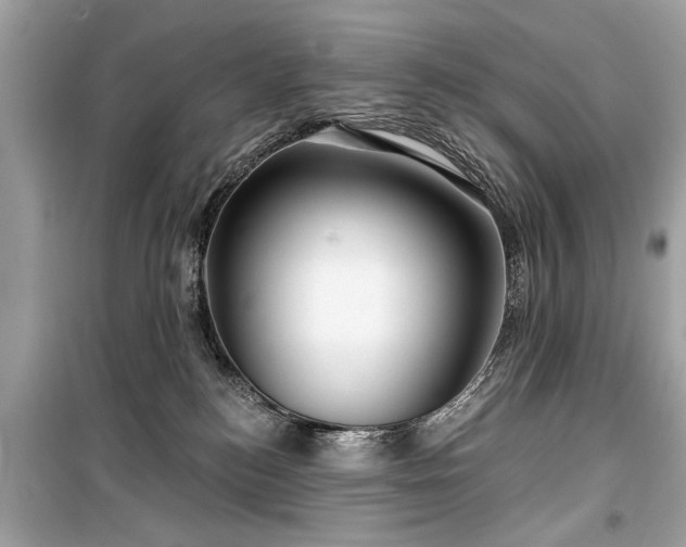 X0000099420184200805161054