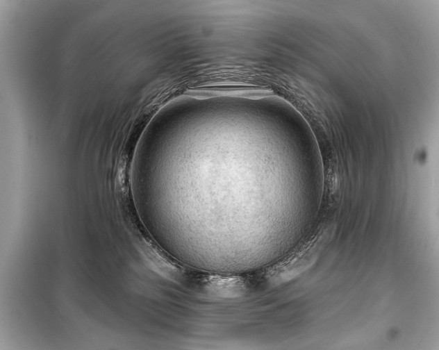X0000099420185200805161054
