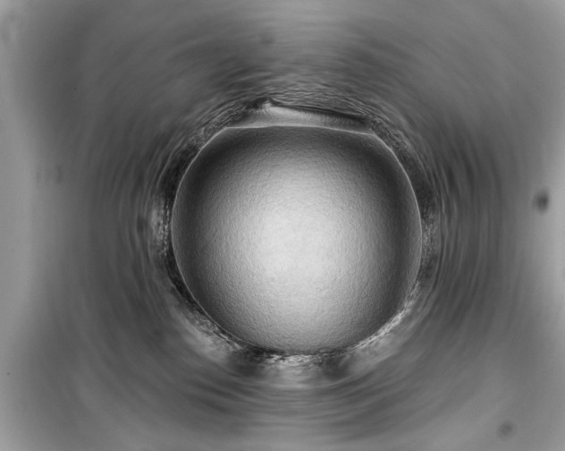 X0000099420186200805161054