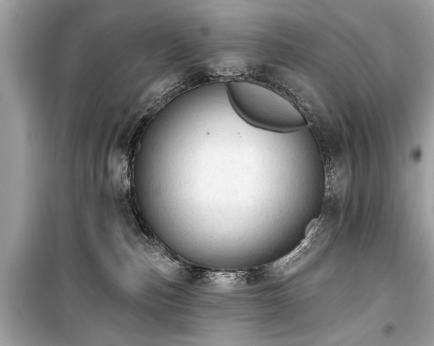 X0000099420187200805161054