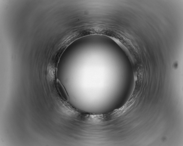 X0000099420188200805161054