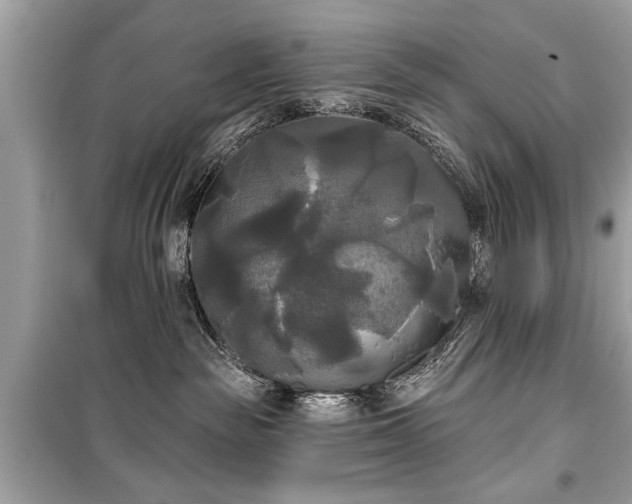 X0000099420189200805161054