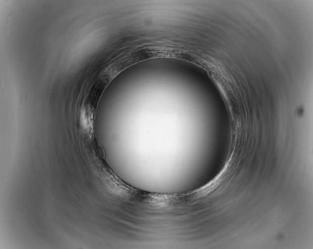 X0000099420190200805161054