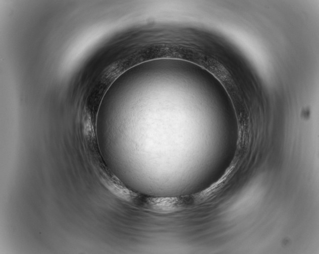 X0000099420191200805161054