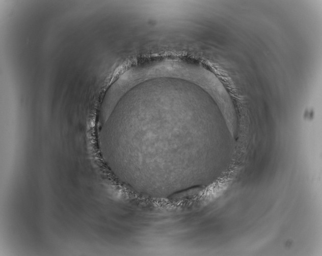 X0000099420192200805161054