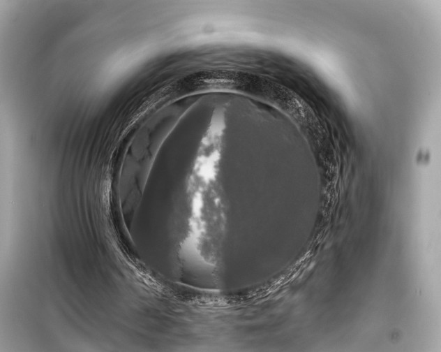 X0000099420194200805161053