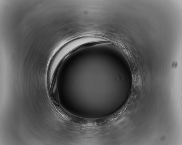 X0000099420196200805161053