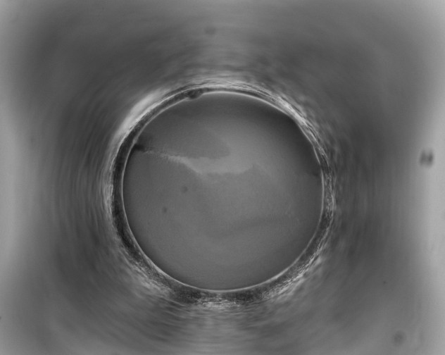 X0000099420199200805161053