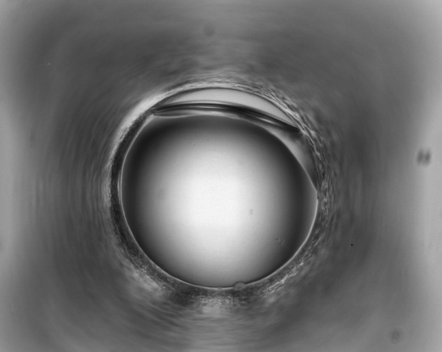 X0000099420200200805161053