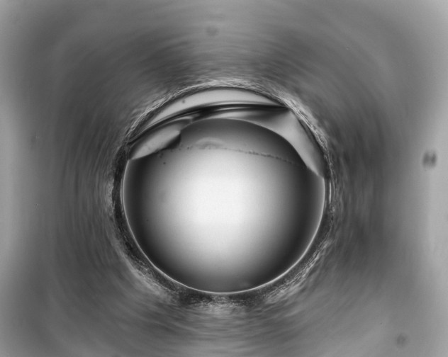 X0000099420201200805161053