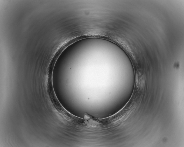 X0000099420204200805161053