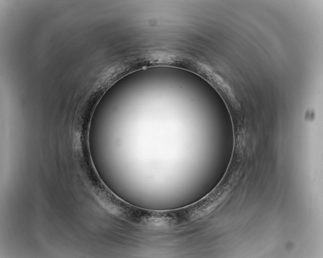 X0000099420209200805161053
