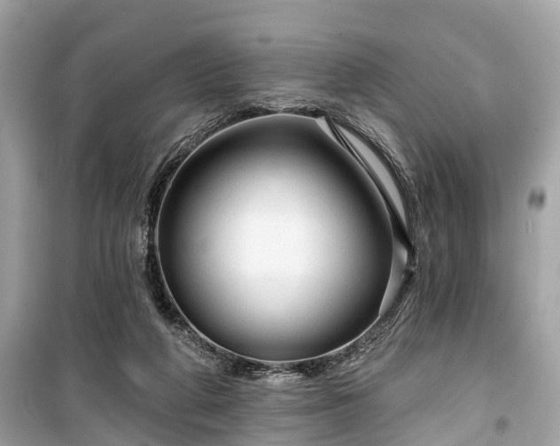 X0000099420210200805161053